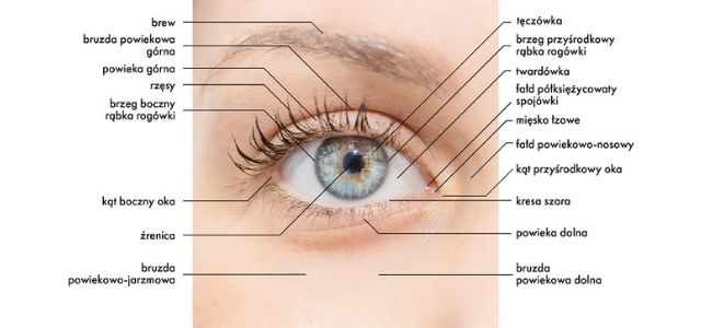 Blefaroplastyka – u kogo i jakie efekty można osiągnąć?